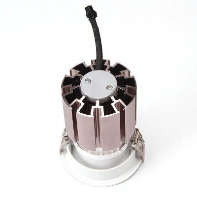 LED down light BCTD244